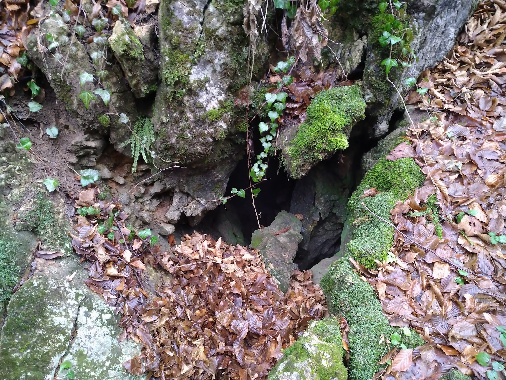 Peştera cu Apă de lângă Steierdorf - Image 3